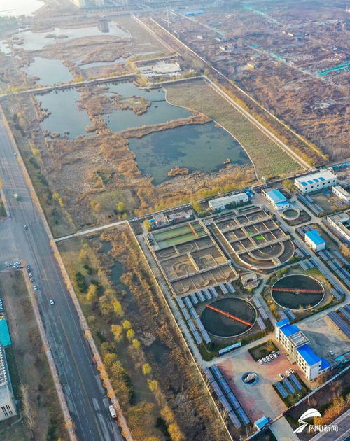 夏津人工湿地 污水处理厂尾水的“生态净化器”