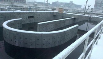 新疆甘泉堡污水处理厂启动人工湿地建设，助力工业园区生态升级