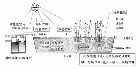 污水处理中磷的去除 人工湿地的应用与优点