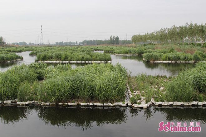 人工湿地助力济宁新材料产业园高质量发展