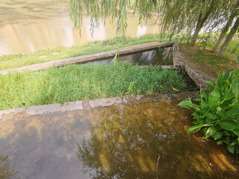 城市人工湿地公园