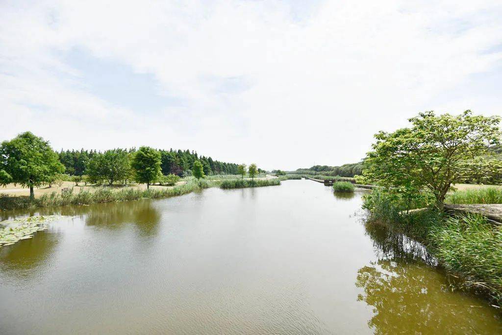走近人工湿地，共建生态园区——保护人工湿地的行动与思考